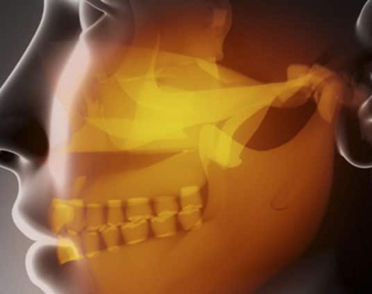 Gnatologia-1000x423